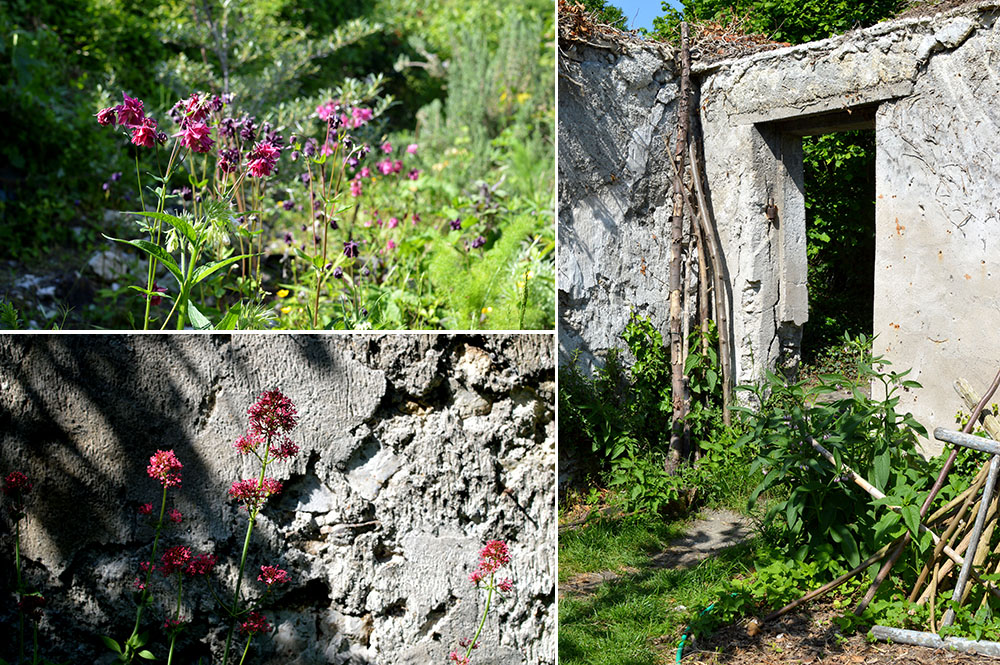 murs-a-peches-montreuil-4