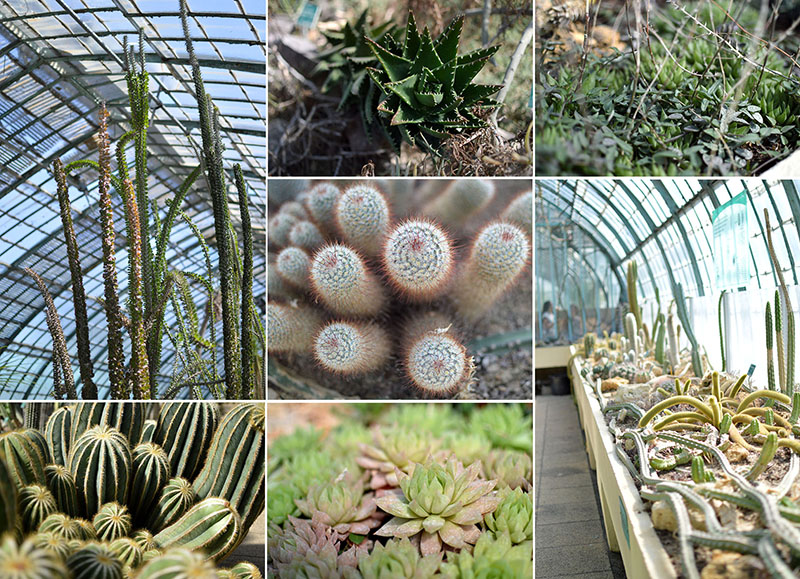 promenade-paris-jardins-auteuil-2