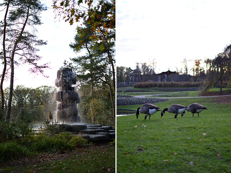 parc-floral-paris-3