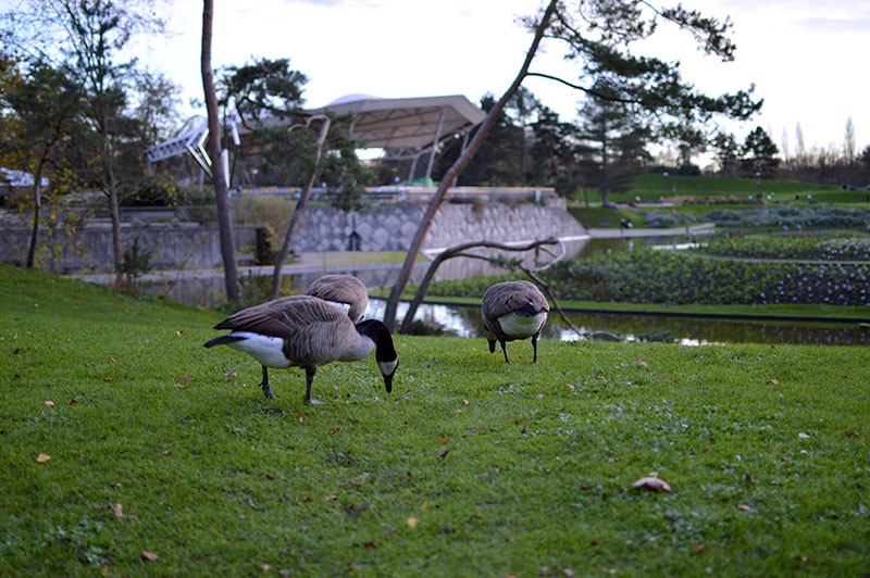 parc-floral-paris-6