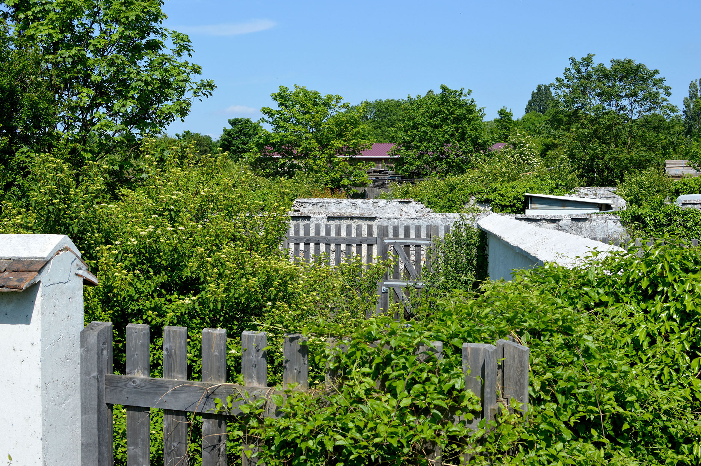 LES MURS A PÊCHES Les yeux en amande